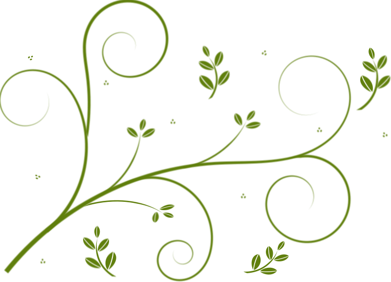 Free Clipart - Flower Vines Png (800x577)