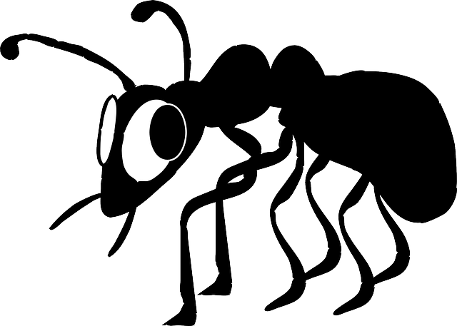 Black, Cartoon, Ant, Bug, Insect, Animal - Cartoon Ants (640x457)