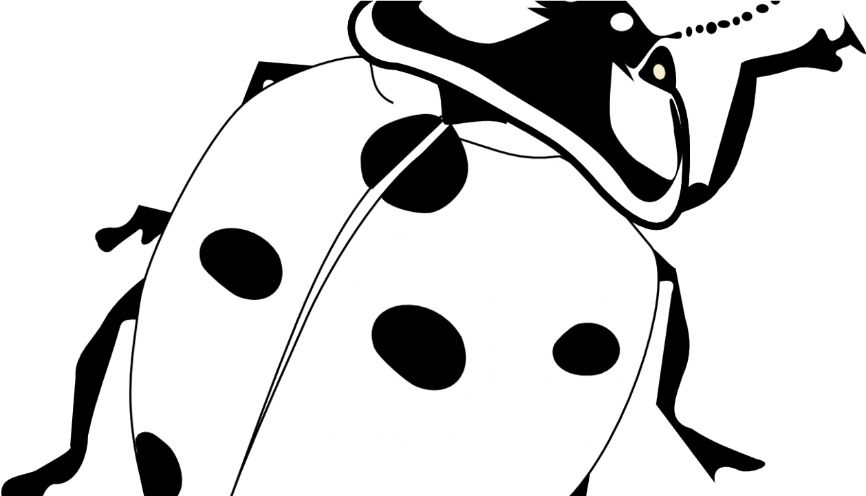 Ladybird Black And White (1280x720)