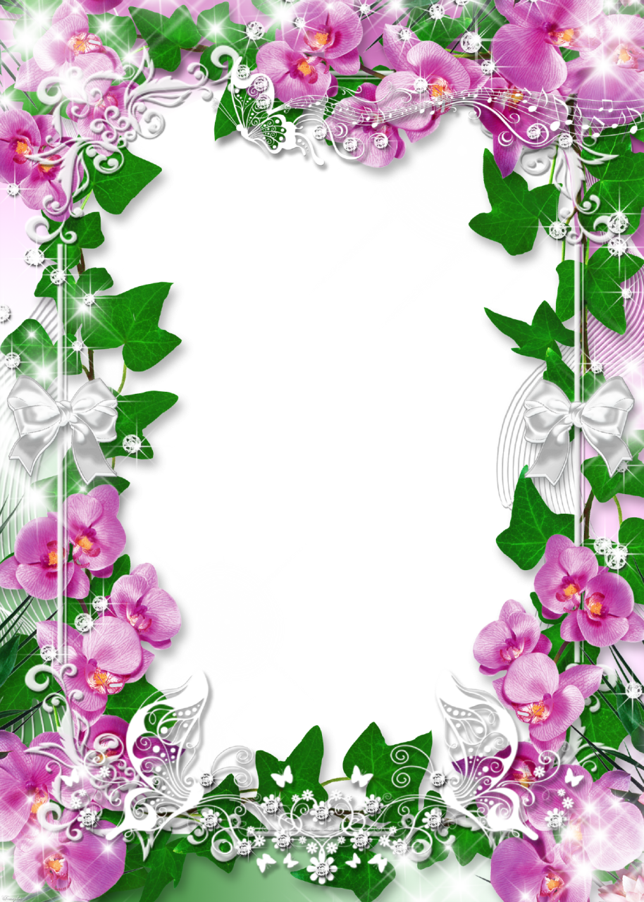 Frame, Studio, House, Flower Backgrounds, 1, Style, - Orchids Borders And Frames (914x1280)