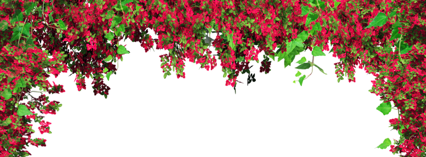 Background Png By Dlovatic1 - Drawing Hearts Stud Earrings Hearts Stud Earrings Valentine (851x315)