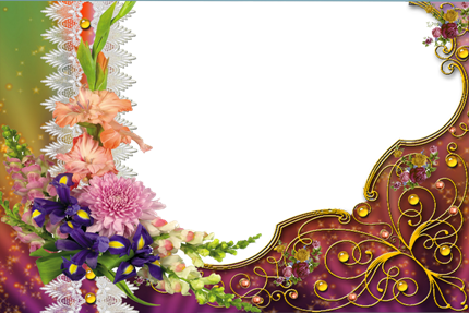 Png Keretek - 3 - Oldal - Best Flower Photo Frame (430x287)