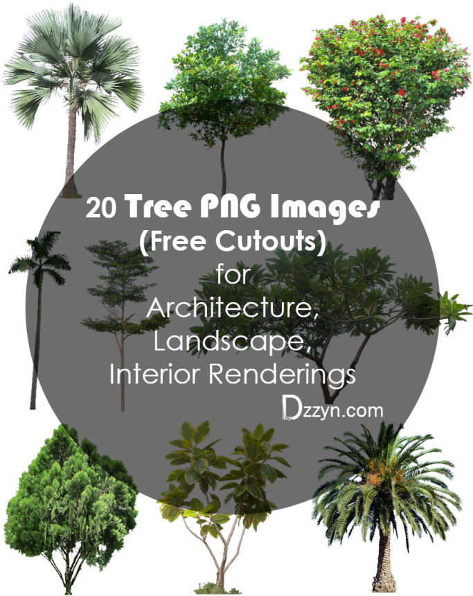 20 Tree Png Images For Architecture, Landscape, Interior - Shrub (701x900)