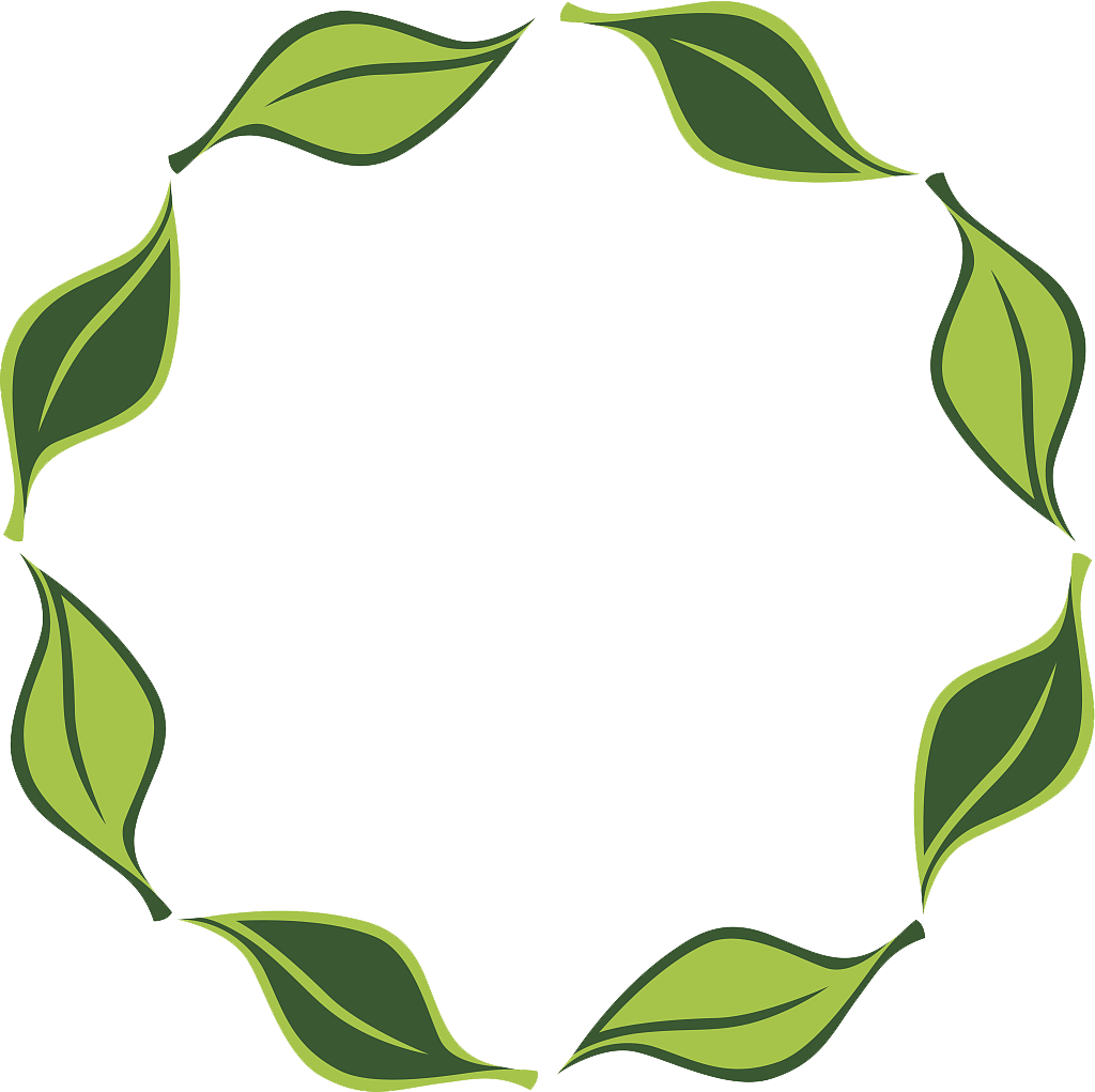 Vector Leaf Circle 1024*1021 Transprent Png Free Download - Vector Leaf Circle 1024*1021 Transprent Png Free Download (1024x1021)