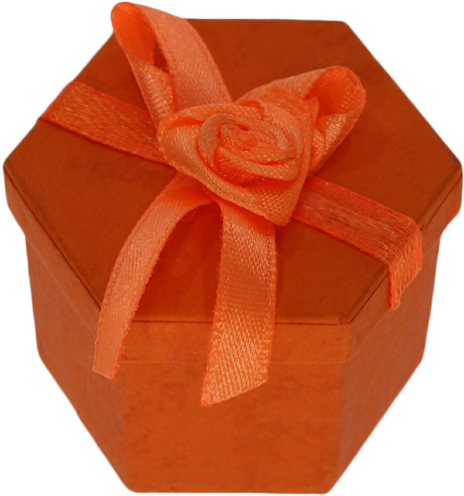 Ringbox Schmuckbox Orange - Garden Roses (800x600)