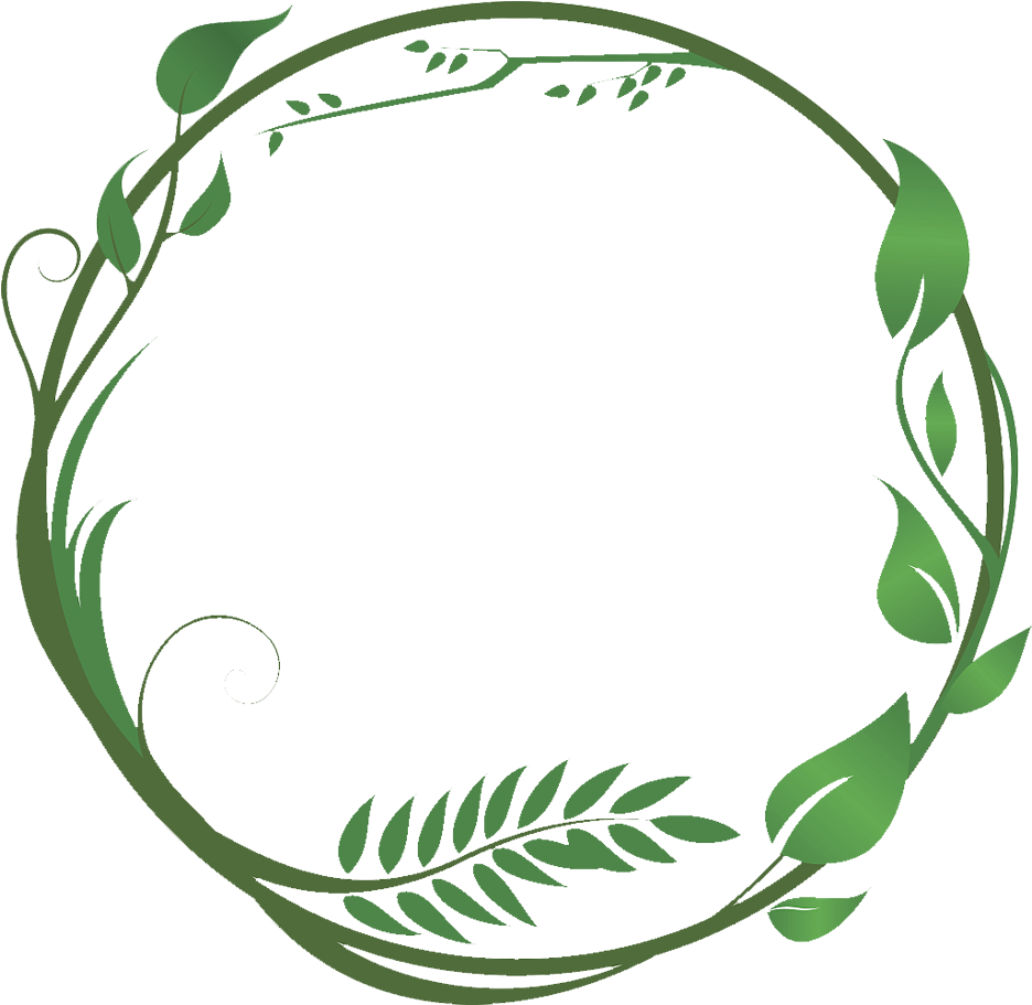 Common Ivy Leaf Green Vine - Vector Green Circle Png (1024x997)