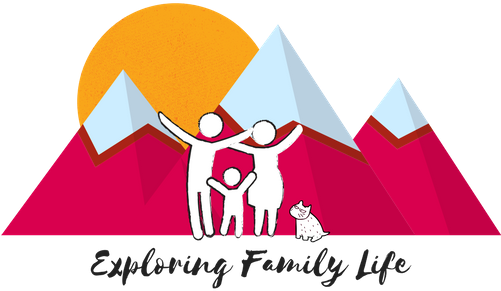 Beaufort Parish Mission - One Daily Step [book] (500x350)