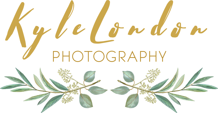 Wedding Photography (761x394)