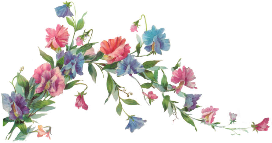 Floral Branch Element By Jinifur - Finding Joy In Your Day.: A Gratitude Journal (900x655)