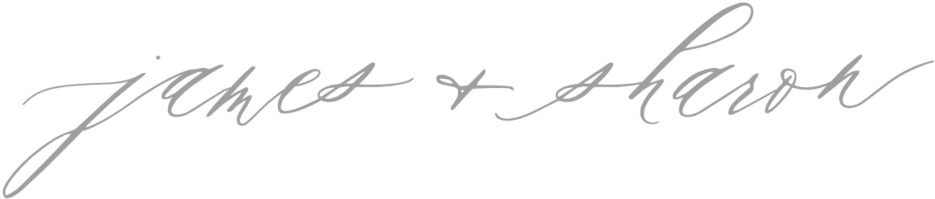 James And Sharon Wedding - James And Sharon Wedding (1000x245)