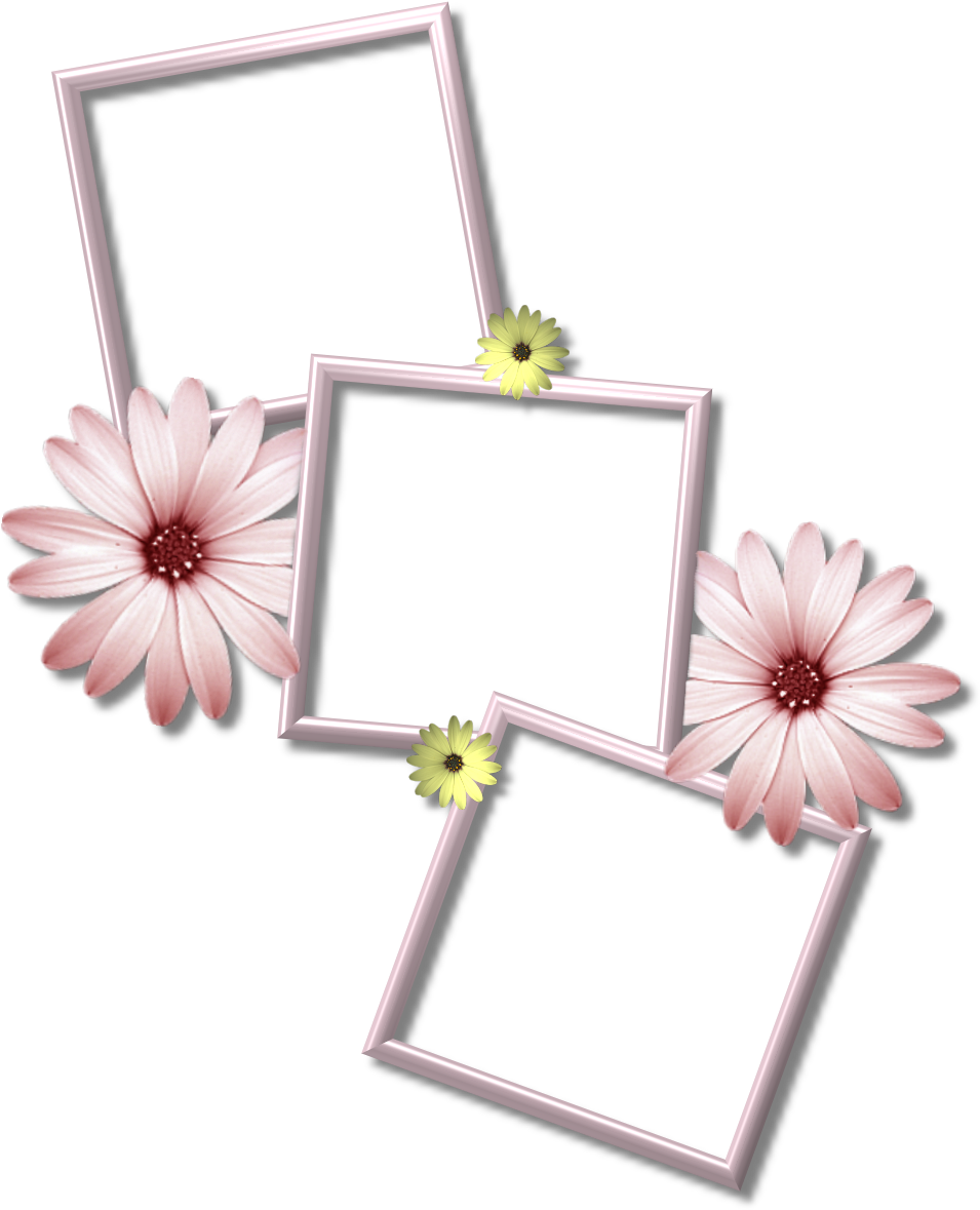 Collage Frame Png Transparent Images - Multiple Picture Frame Png (986x1180)