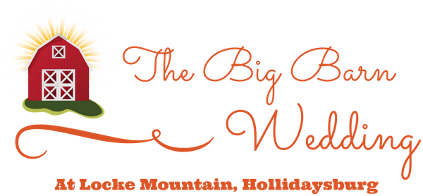 The Big Barn Wedding - Wedding (600x300)