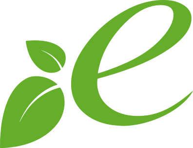 E Leaf Award Logo - E Logo With Leaf (396x304)