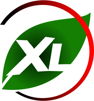 Hammer Xl Testosterone Booster - Testosterone (404x404)