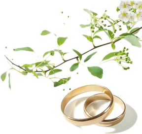 Wedding Rings I - Die Liebe Hört Niemals Auf 9783746233765 (paperback) (394x305)