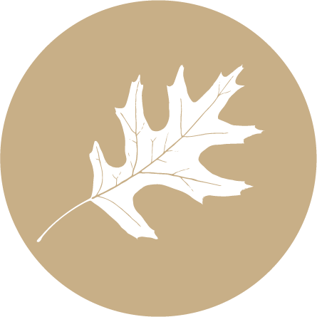 Our Mission - Angel Tube Station (445x445)