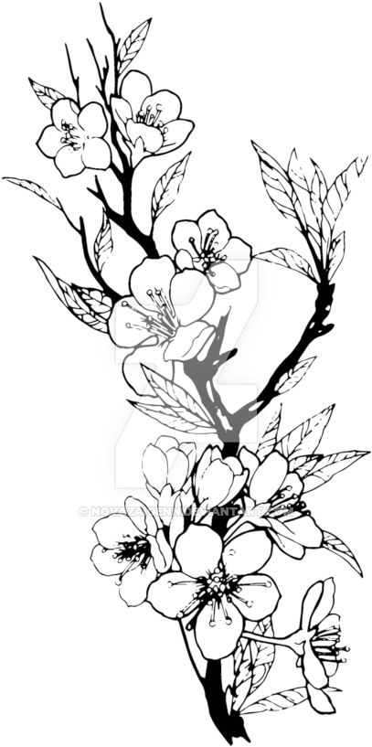 Flower Illustration By Novazaigenn Flower Illustration - Plantillas Para Tatuajes Flores (1024x1024)
