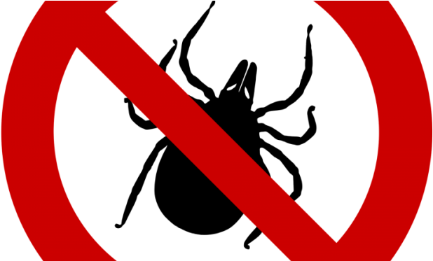 Ticks And Lyme Disease, We Have The Answers To Your - Linke-buttons.de 50mm Button: Zecken (672x372)