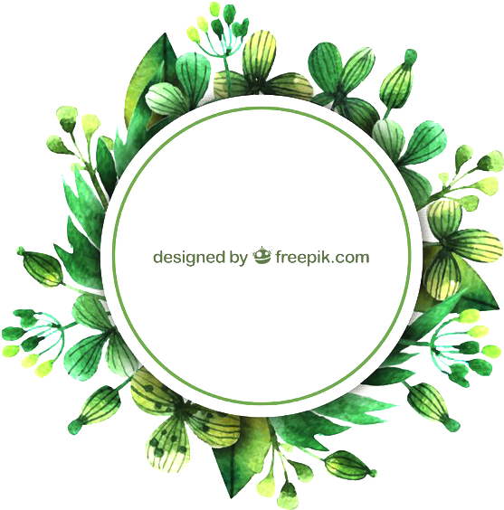 Leaf Euclidean Vector Watercolor Painting - Color Leaf Vector Png (800x752)