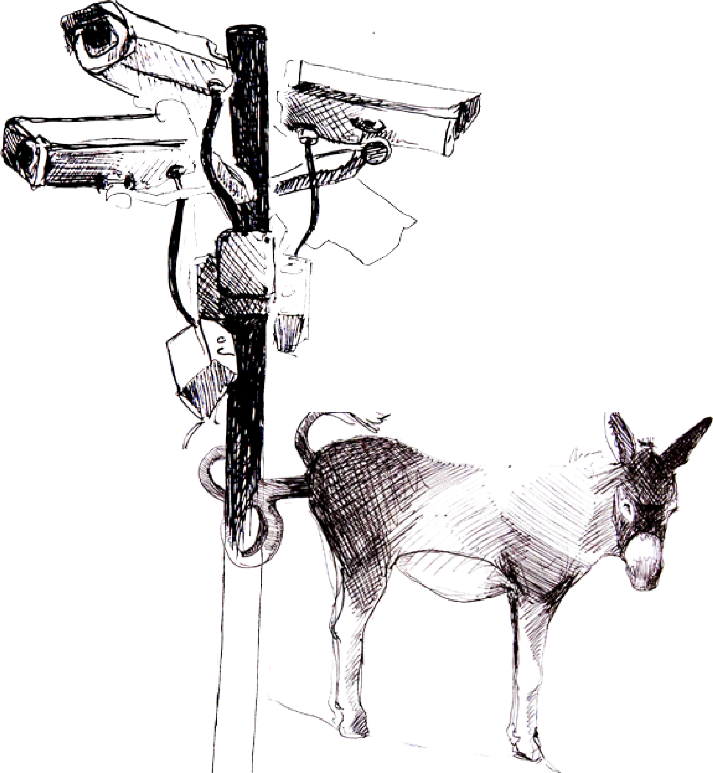 Good Design Is Healthy - Burro (3900x2696)