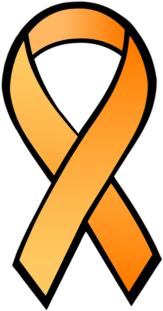 Ms Awareness Ribbon - Brain Tumor Awareness Month 2015 (456x640)