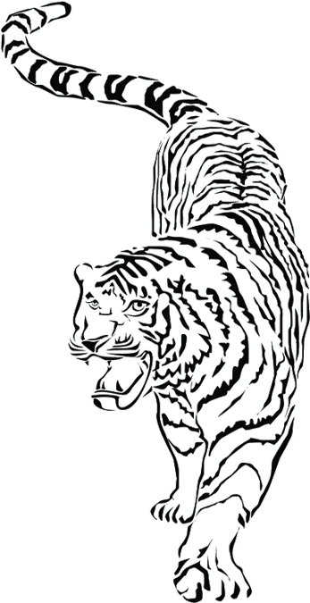 Whiskers South China Tiger Drawing - Whiskers South China Tiger Drawing (750x750)