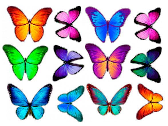 Wall E Characters With Pictures - Kupu-kupu Cantik [book] (700x440)