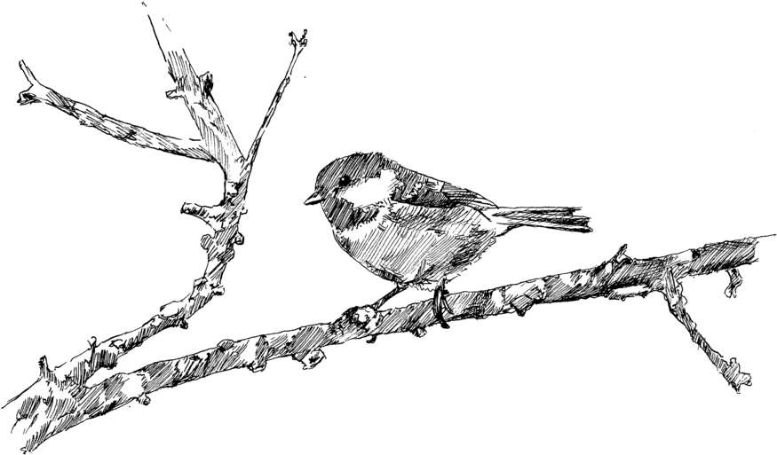 Sarah Downen - Sarah Downen (1000x607)