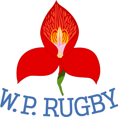 Western Province Rugby Logo - Western Province Logo Png (700x400)