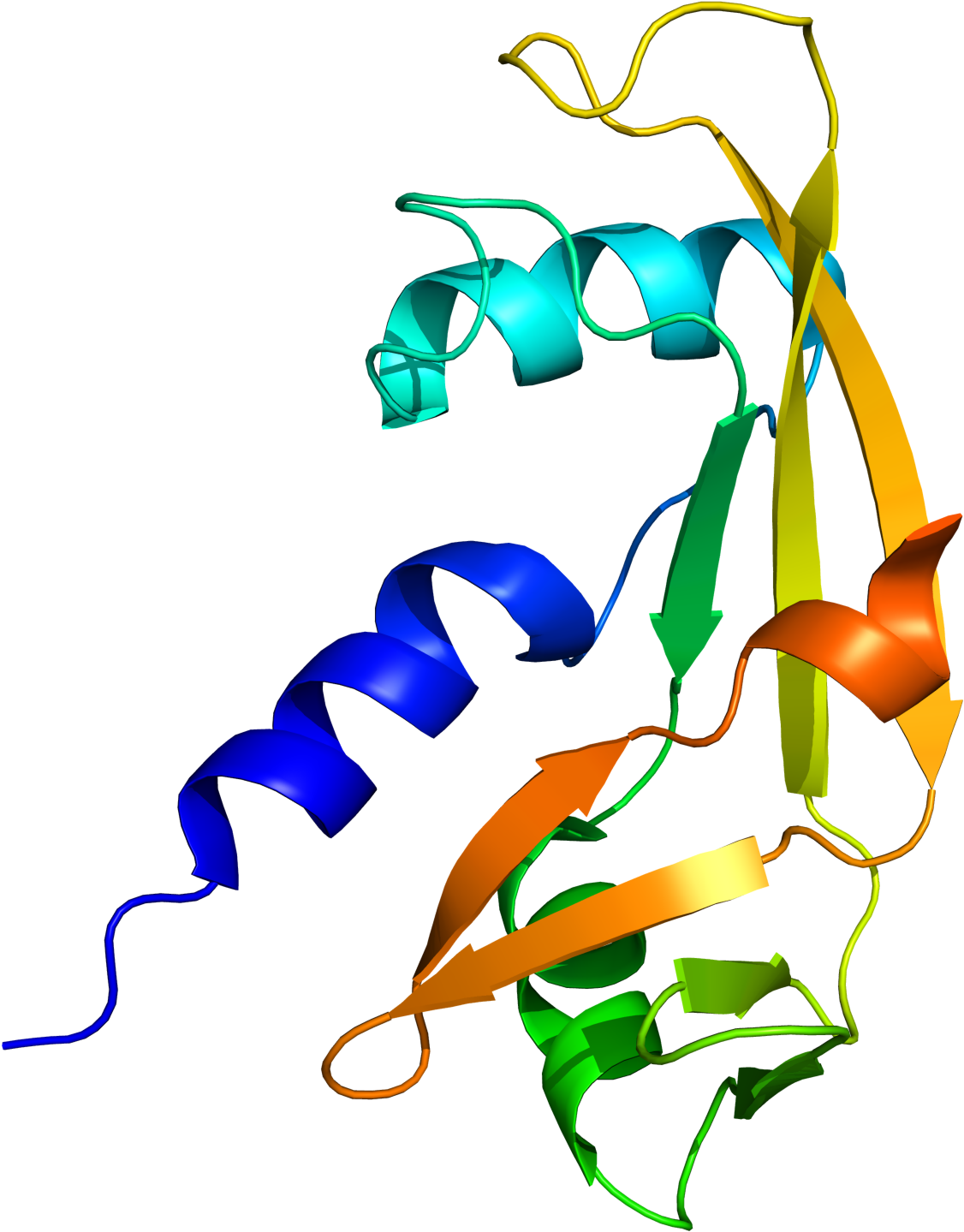 The Team Produced 11 3d Images Of Mutant Versions Of - Bath (1145x1460)