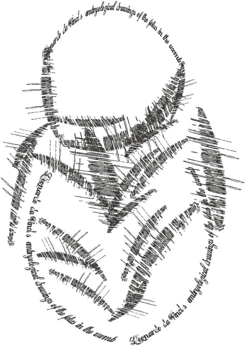 Blog 8 Chen Leonardo Da Vinci's Embryological Drawings - Sketch (1189x1600)