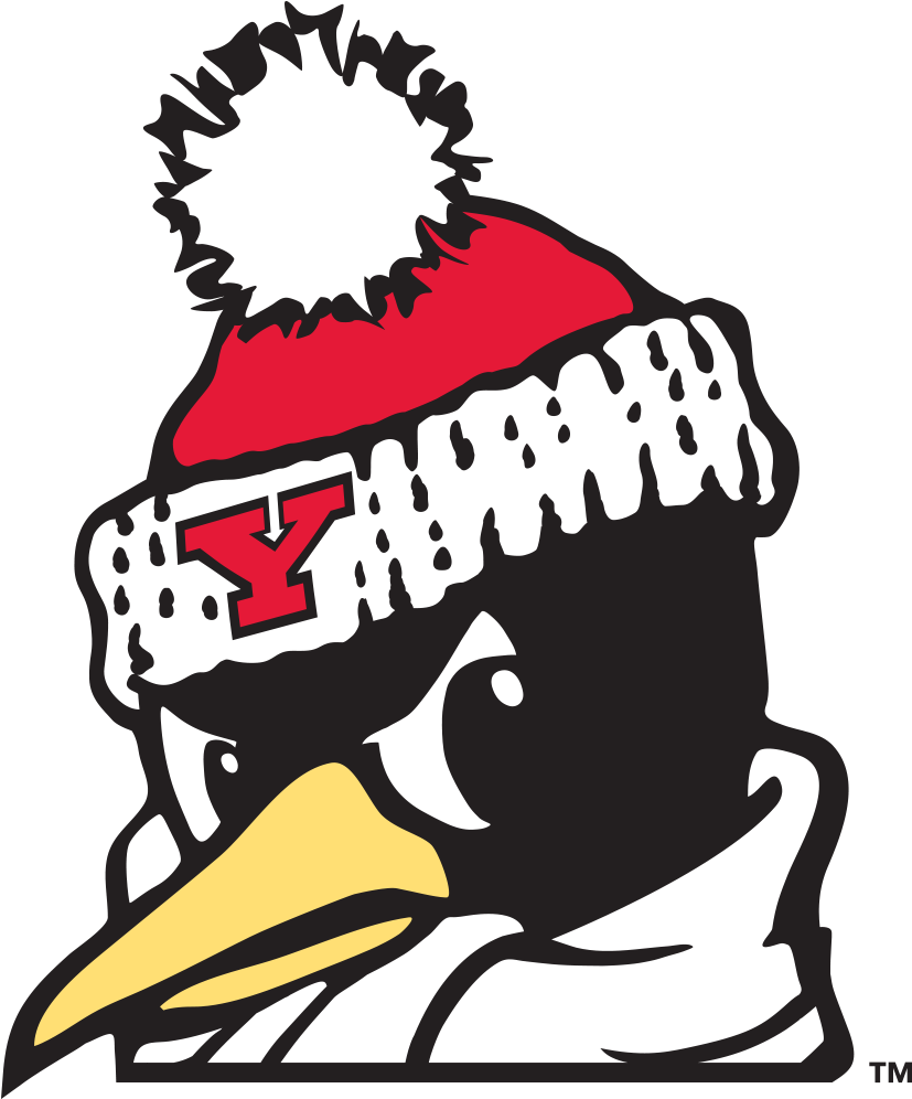 Youngstown State Penguins - Youngstown State University Penguins (1000x1000)