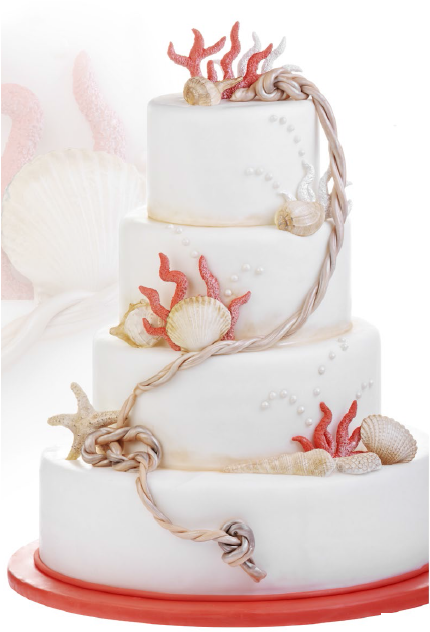 Set De Coquillages En Sucre - Cake Decorating (800x800)