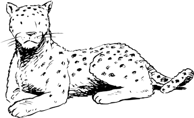 Drawing Leopard 73 - Cheetah (400x560)