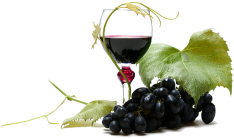 Download Wine Png Clipart Hq Png Image - Grapes (524x296)