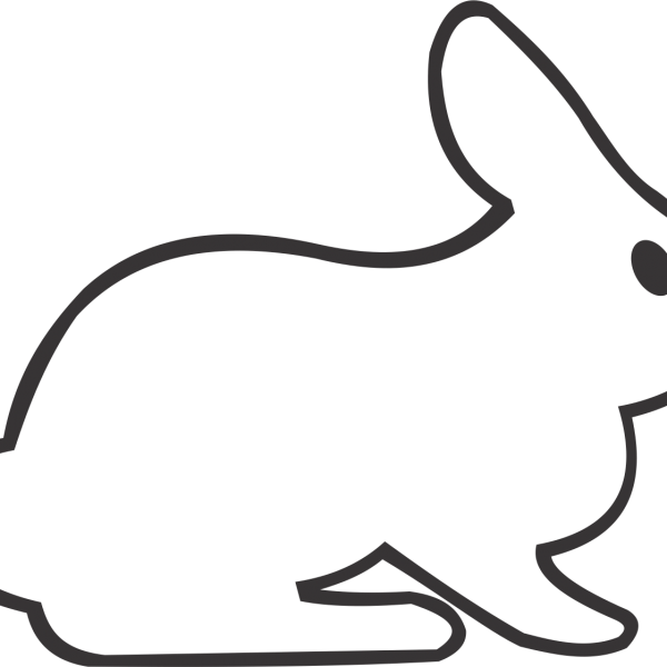 Rabbit - Rabbit (600x600)
