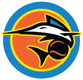 From Fish Stripes - Notre Dame Fighting Irish Football (400x320)