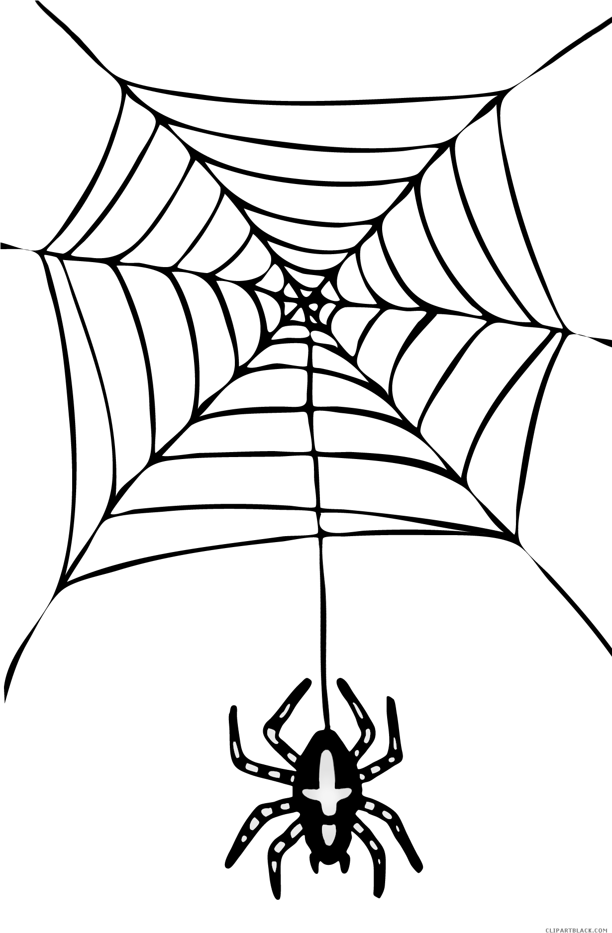 Hanging Spider Animal Free Black White Clipart Images - Tecknat Spindelnät (1229x1883)