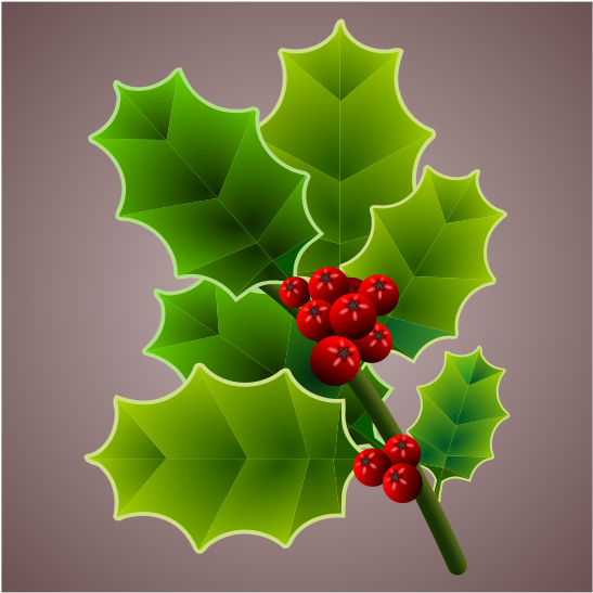 Christmas Common Holly - Christmas Common Holly (566x800)