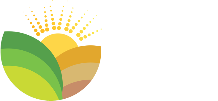 Bible Land Tours Bible Land Tours - Graphic Design (800x358)