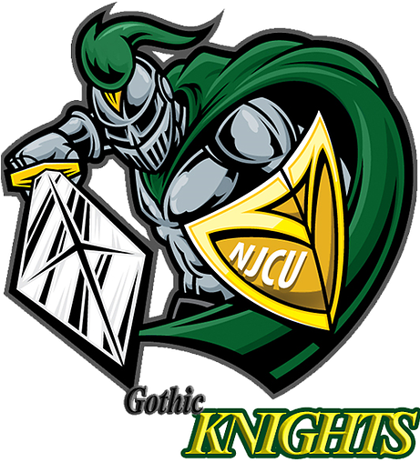 Student Government Organization - Swords And Shields Logos (460x540)