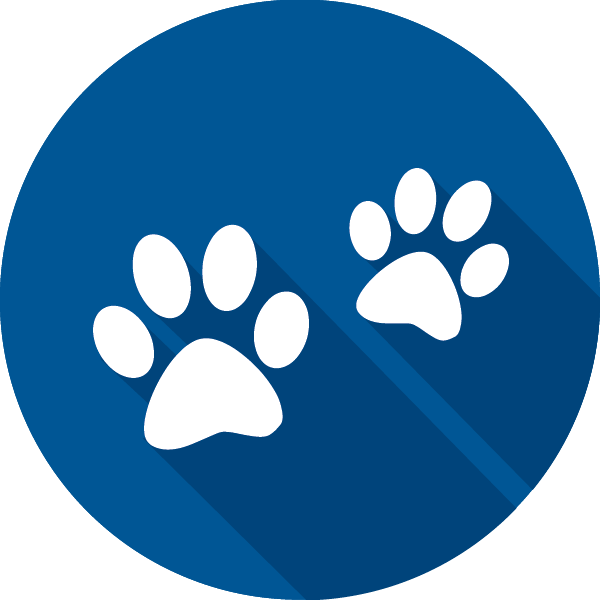 Link To Traveling With Pets Page - Jio Logo Png File (600x600)