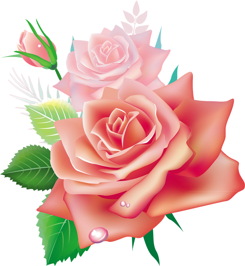 3d Roses Cliparts - Psalm37 16 (804x872)