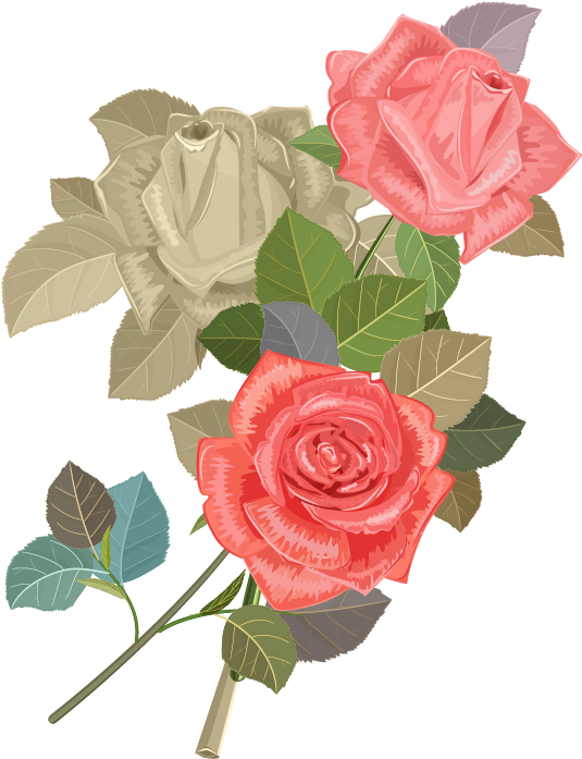 Wedding Invitation Beach Rose Flower Euclidean Vector - Rose (800x800)