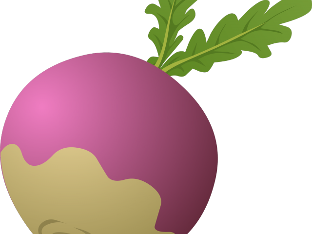 Giant Clipart Turnip - Rutabaga Clipart (640x480)