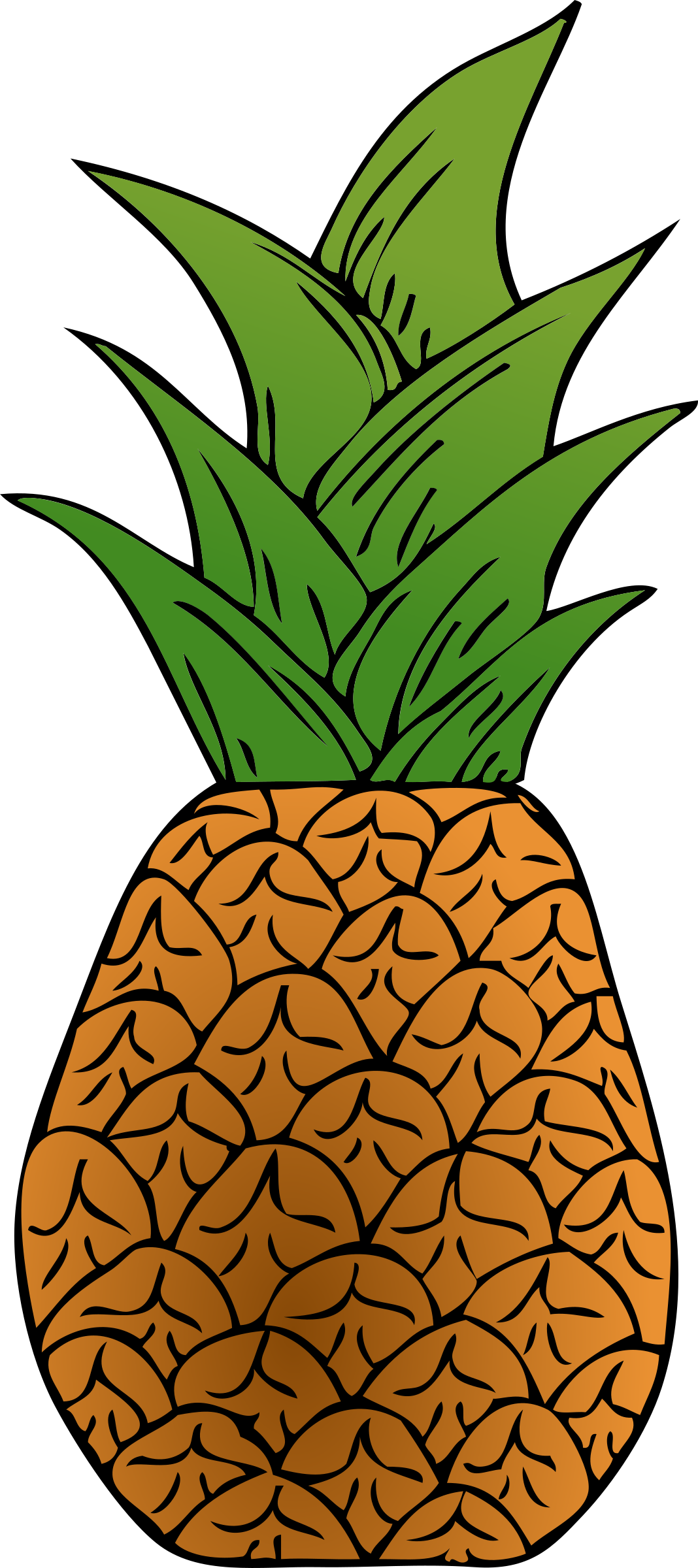 Pineapple - Custom Pineapple Shower Curtain (1068x2400)