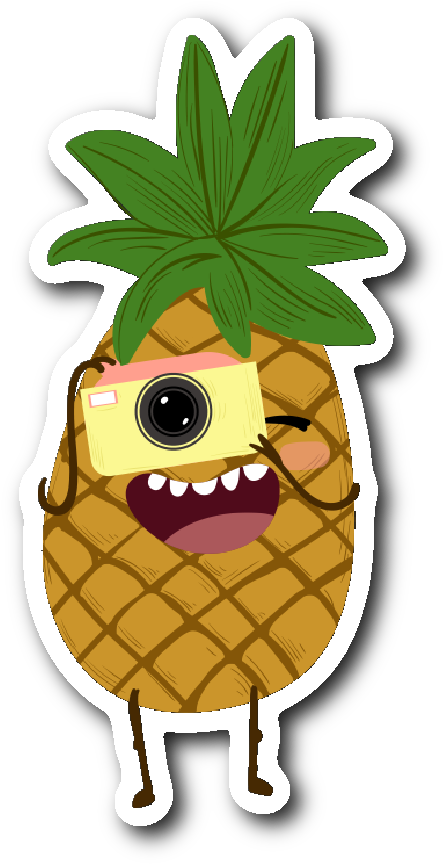Pineapple Snapping A Picture Sticker - Fruit (1064x1064)