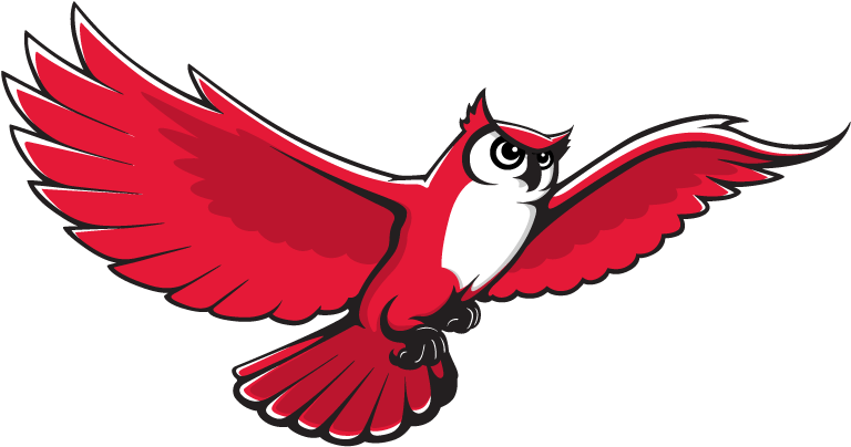 Print - Keene State College Owl (800x448)