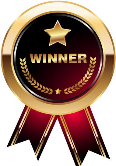 Promotion - Winner .png (480x548)