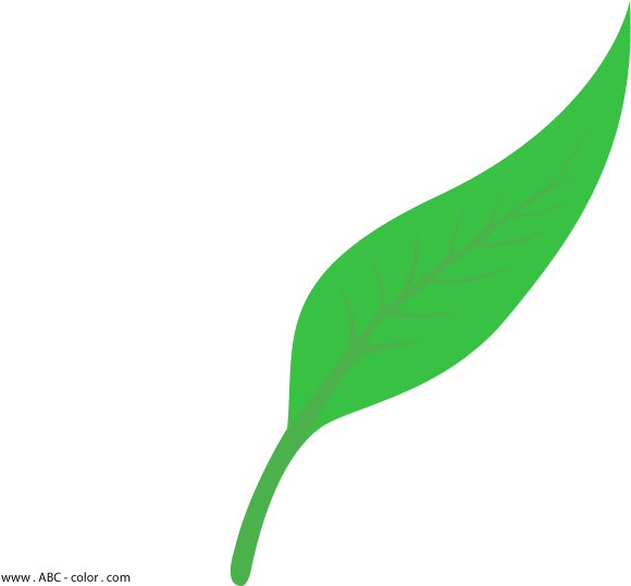 Award Png Pic - Clipart Award Png (822x567)